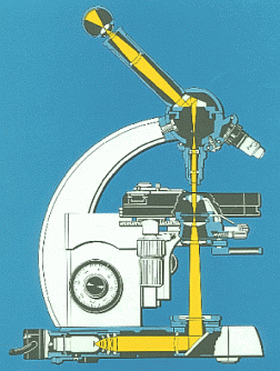 Der optische Strahlengang eines Mikroskops (Schema)